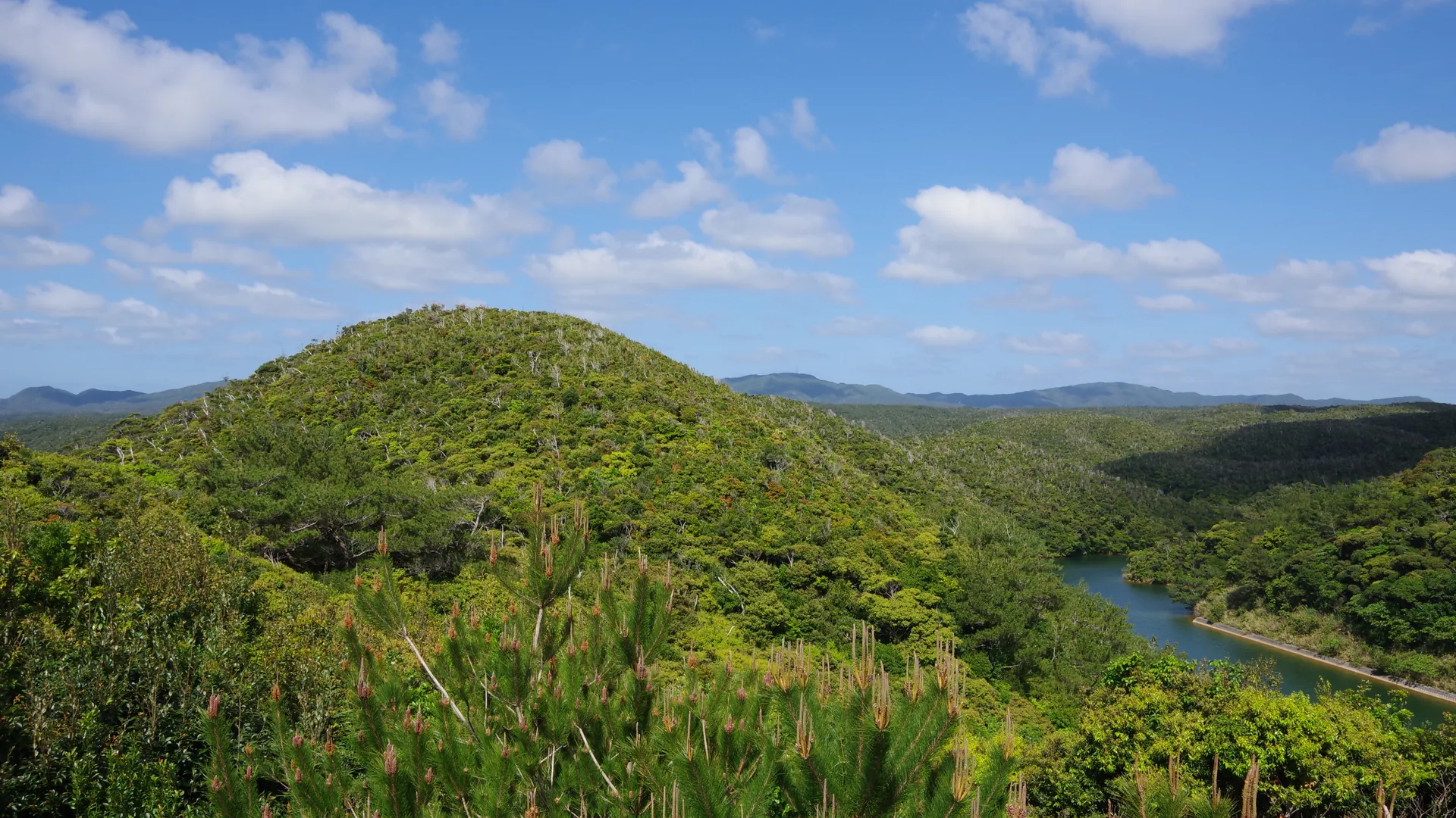 Udsigt fra et bjerg over Yanbaru-skoven i det nordlige Okinawa, med parkens brune indgangsbygninger og en stor lys ballon blandt træerne over en blå bugt med små øer
