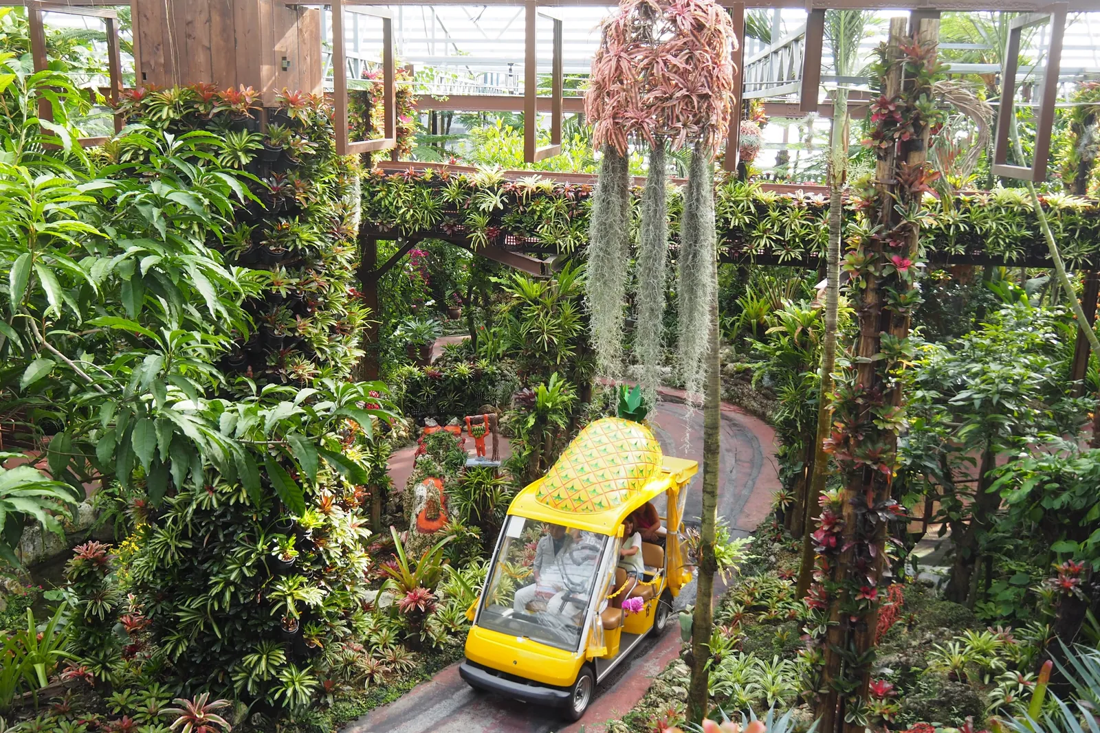 En lille gul vogn formet som en ananas, der kører gennem en frodig indendørs have med tropiske planter; Nago Pineapple Park, ikke parken